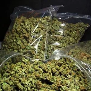 Buy OG Kush Online UK