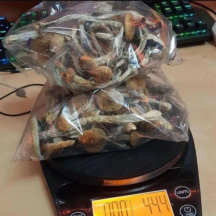 Buy Magic Mushrooms Online in UK