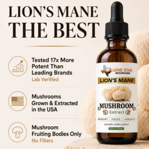 Lion Mane Tincture